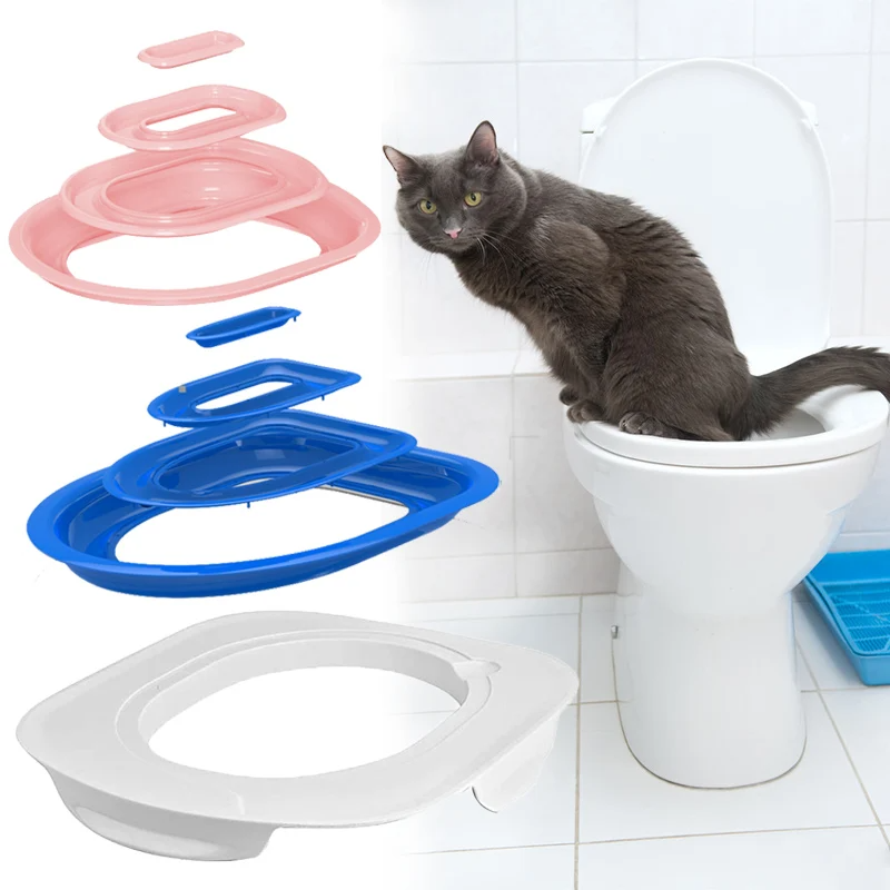 02d05295323a3c88bed26bfee68fc68e.png