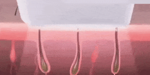 ezgif-com-optimize-2023-07-10-T181111-099