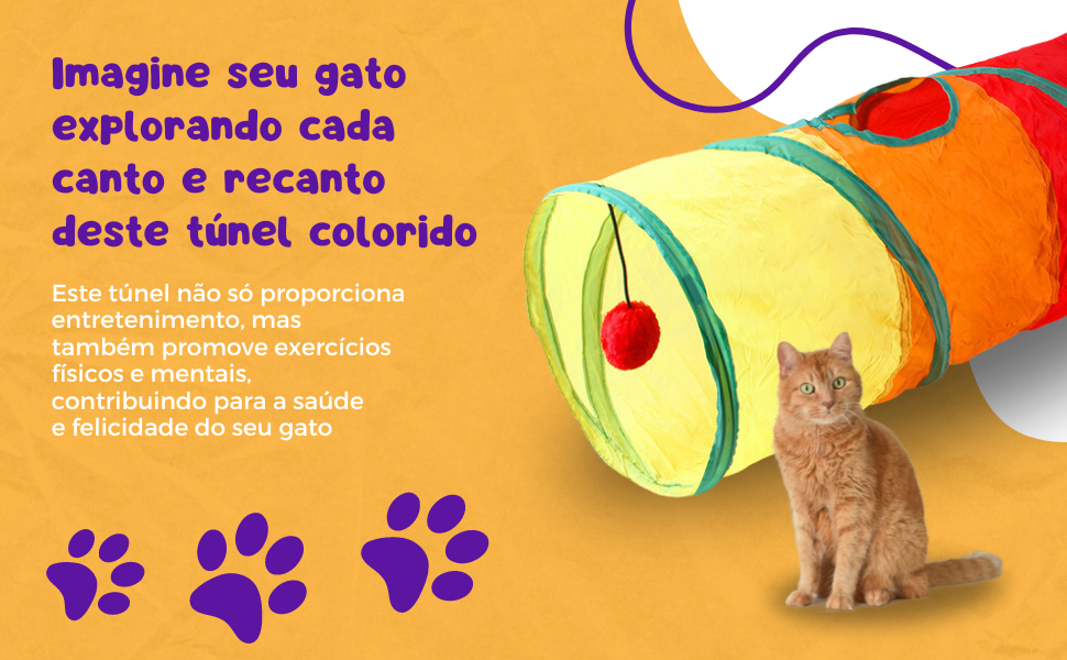 Brinquedo Interativo Para Gatos Pets Túnel Labirinto Colorido com Bolinha : Amazon.com.br: Pet Shop