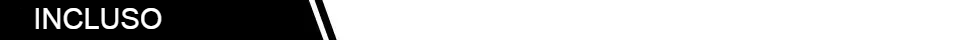 INCLUSO