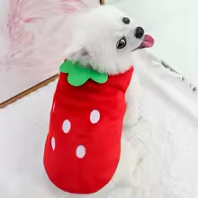 30408f03bcd2920920a88916b784c5c9.png
