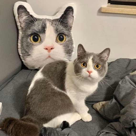 As Almofadas Decorativas Personalizadas, são feitas especialmente para você que ama seu pet e quer tê-lo em toda parte - Frete Gratis - Elite Comerce