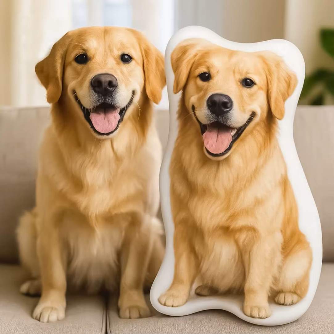 As Mini Almofadas Decorativas Personalizadas, são feitas especialmente para você que ama seu pet e quer tê-lo em toda parte - Frete Gratis - Elite Comerce