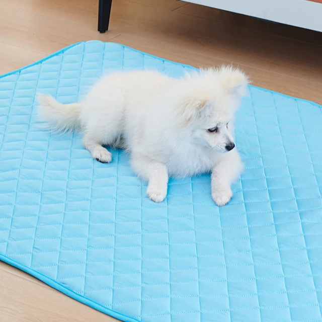 Tapete gelado Meu Pet que reduz até 10°C da temperatura ambiente. Refrescância por horas, conforto para as articulações e uso seguro para seu pet. - Frete Gratis - Elite Comerce