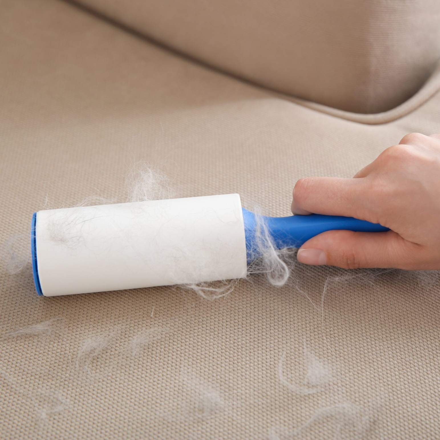 Pente Limpeza de Pelos - desenvolvido com materiais de alta qualidade, o pente oferece uma limpeza profunda e pr&aacute;tica. Evita n&oacute;s dolorosos, ajuda a manter a pele saud&aacute;vel e a casa limpa. Frete Gratis - Elite Comerce