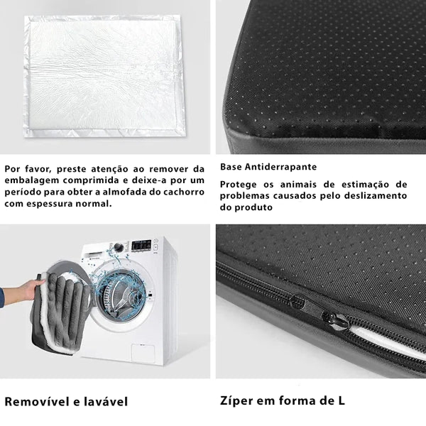 Caminha Pet ProRelax dicas