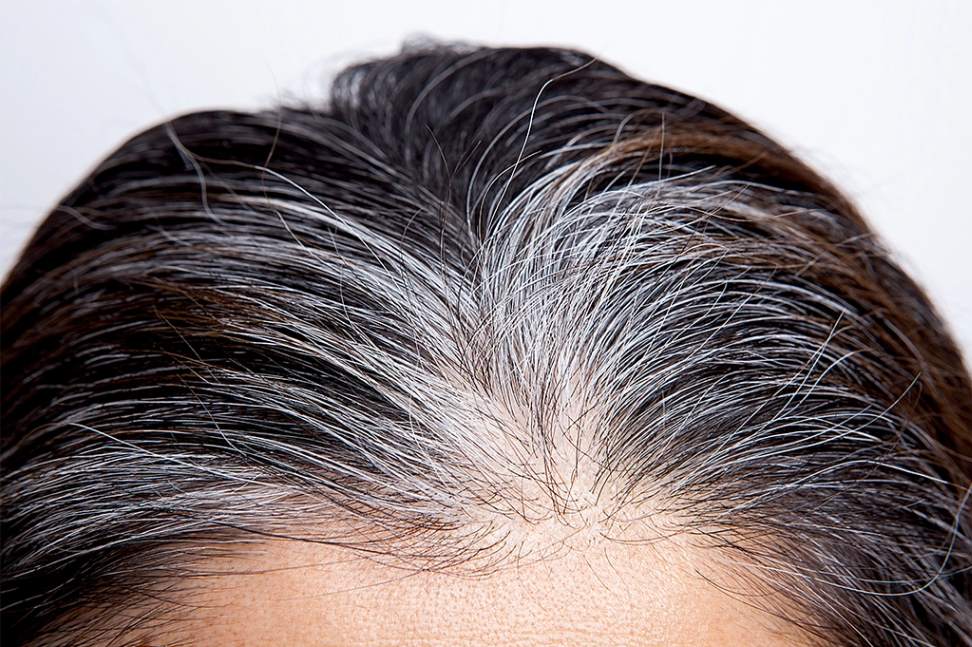 Queratina em Pó Maquiagem Capilar - Sevich Hair