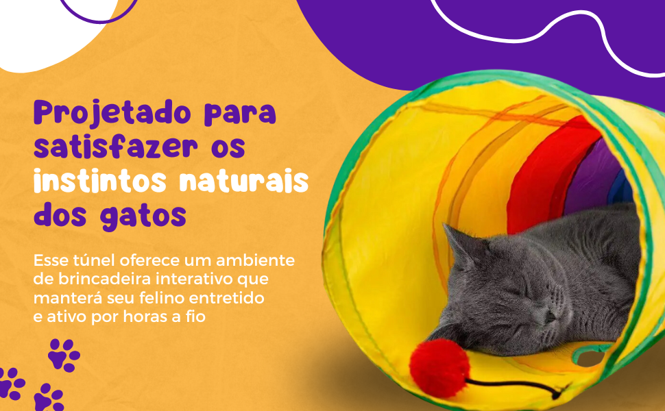Brinquedo Interativo Para Gatos Pets Túnel Labirinto Colorido com Bolinha : Amazon.com.br: Pet Shop
