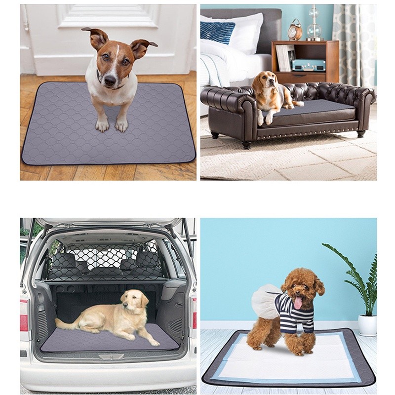 Tapetes Higiênicos Laváveis: a solução prática e econômica para higiene dos seus amiguinhos peludos. Inúmeros benefícios para você e seu bolso. - Frete Gratis - Elite Comerce