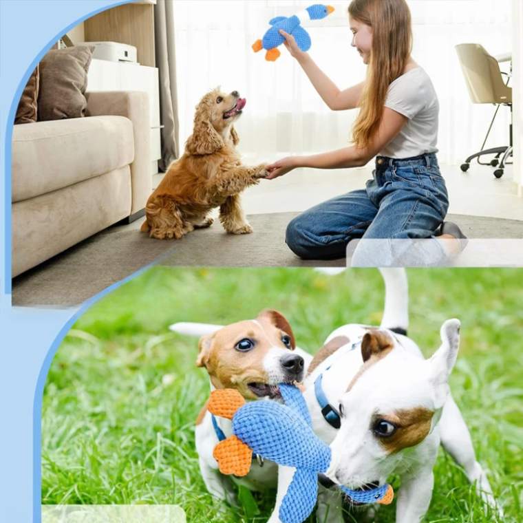 O Ganso Brincalhao emite um som que distrae e busca atenção do seu amiguinho peludo, alivia a tensão e espera até que você volte e ainda ajuda com halito do fofuxo. Frete Gratis - Elite Comerce