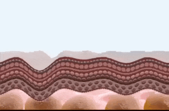 ezgif-com-optimize-2023-10-11-T202029-396