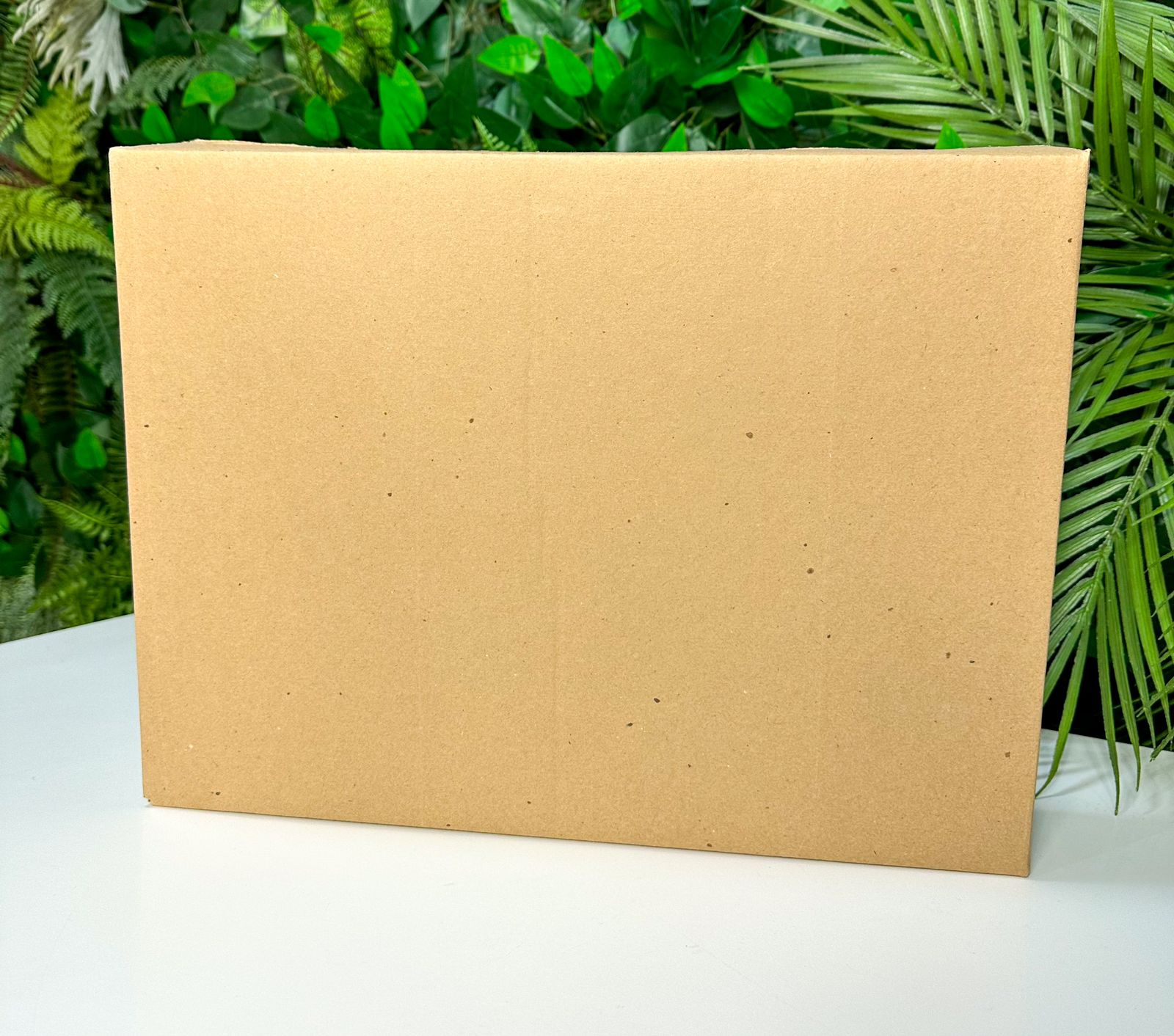 Embalagem para Dropshipping (EMBDROSHIP)