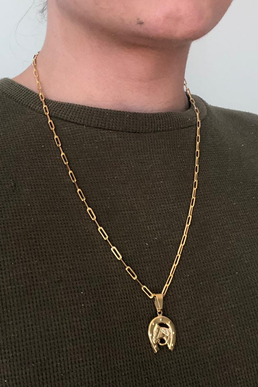 Pingente Ferradura com Cavalo Banhado em Ouro 18k (PG0031)